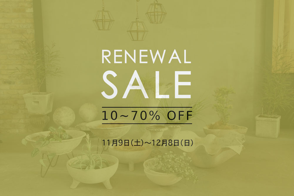 top-renewal-sale-20241107